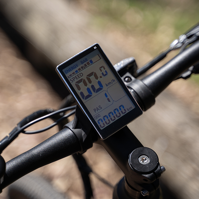 E-Raptor – Progear Bikes