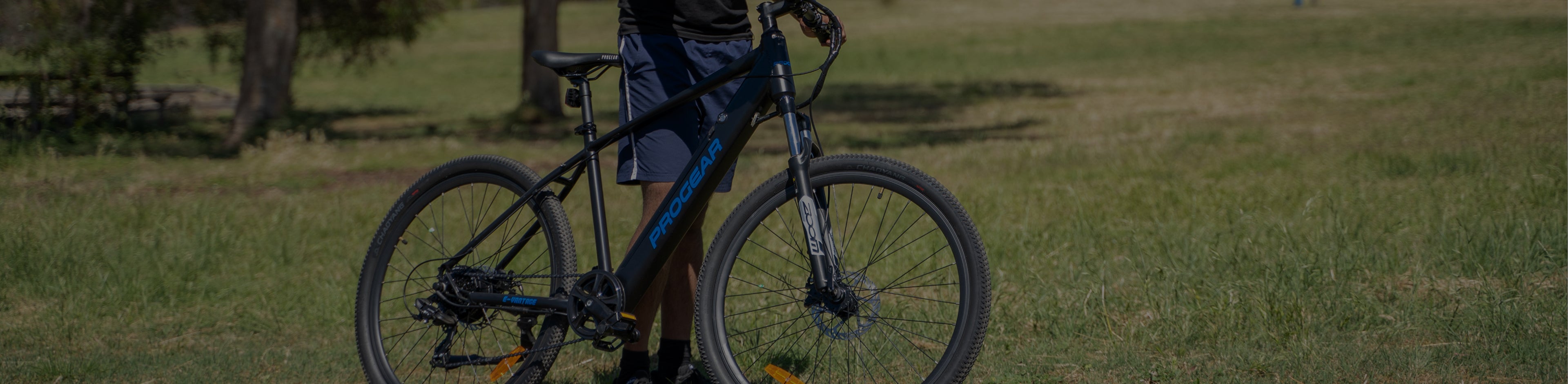 Electric Mountain banner
