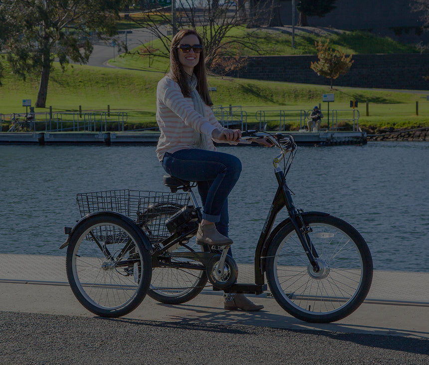 Electric Trikes banner