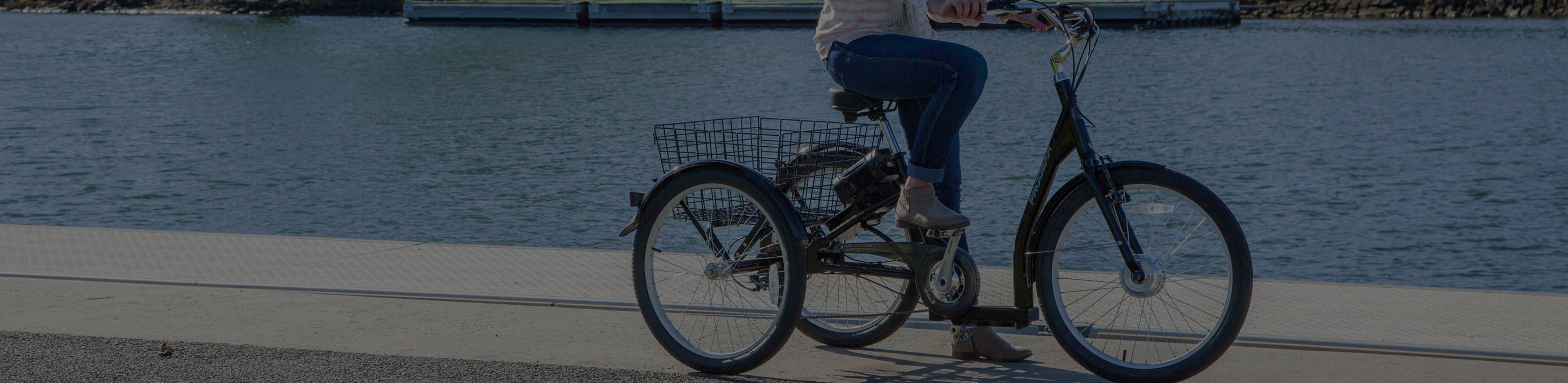 Electric Trikes banner