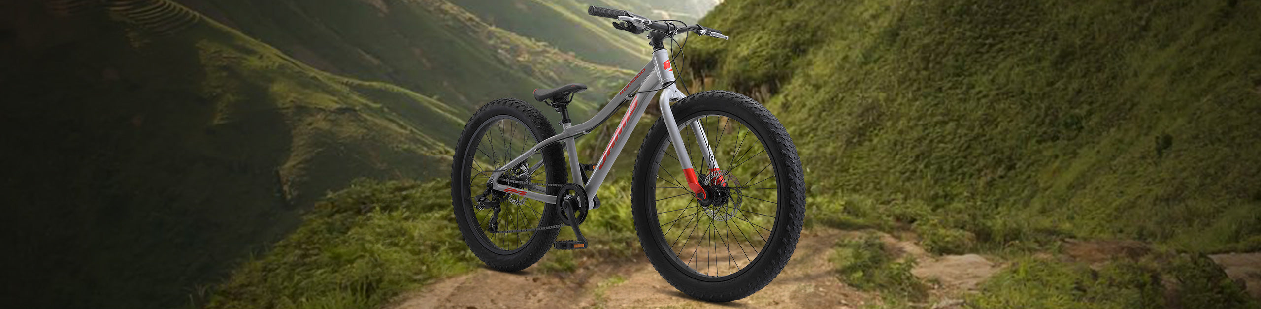 wide tyre bicycle