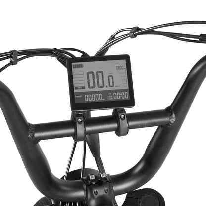 E-Raptor 20" Electric Street Bike - Matte Black (250w)