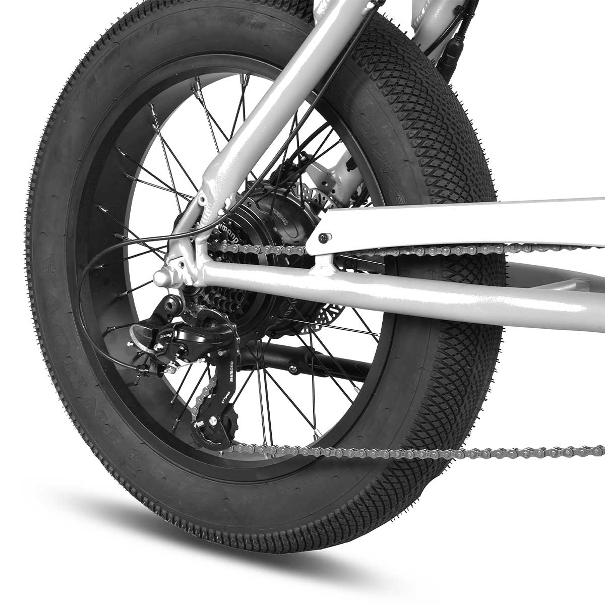 E-Raptor 20" Electric Street Bike - Matte Black (250w)
